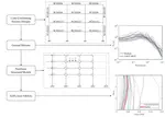 A database of seismic designs, nonlinear models, and seismic responses for steel moment resisting frame buildings